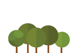 five trees with circles to
        represent leaves